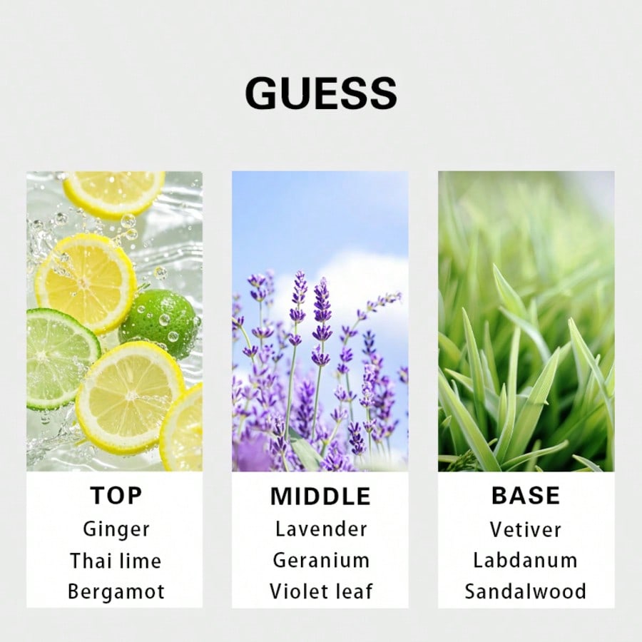 Guess Forever men Eau De Toile - Fragrance Perfume Note recension och pris